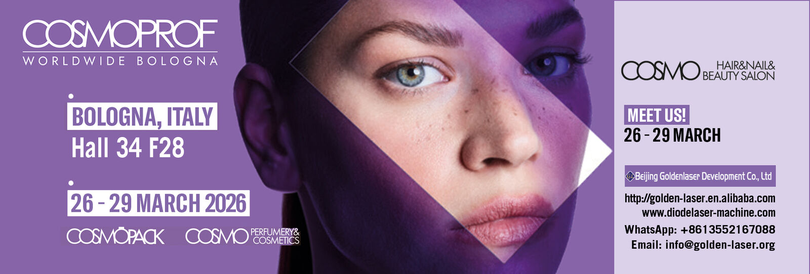 डायोड लेजर बालों को हटाने की मशीन